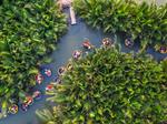 Linh Ung Pagoda - Coconut Forest - Hoi An 1 Day Tour