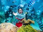 Undersea walking tour (pick up Da Nang - Hoi An - Port)