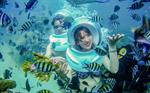 Undersea walking tour (pick up Da Nang - Hoi An - Port)