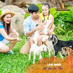 Tour Da Nang - Vinwonders Nam Hoi An