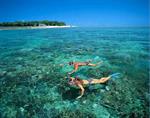 1 day Cu Lao Cham tour - pick up Da Nang
