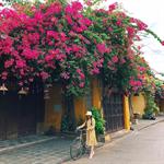 Tour Rừng Dừa – Hội An 1 ngày
