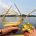 Tour Rừng Dừa – Hội An 1 ngày