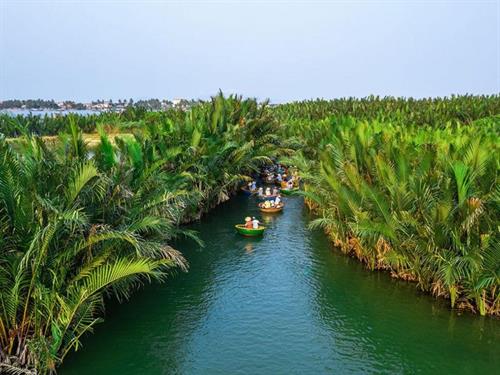 Should you go to Bay Mau Coconut Forest when traveling to Hoi An?